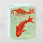 Koi Fish Briefkaart (Voorkant / Achterkant)
