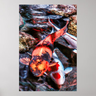 KOI FISH DUET POSTER