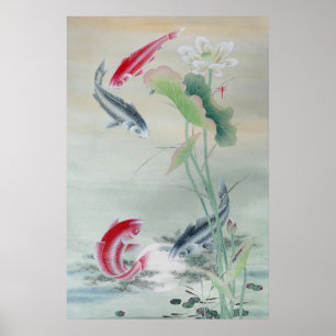 Koi Fish met Lotus Poster
