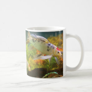 Koi Fish Mok