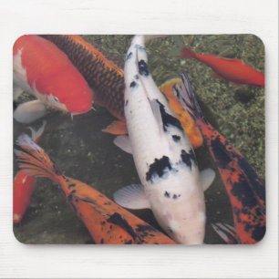 Koi Fish Muismat