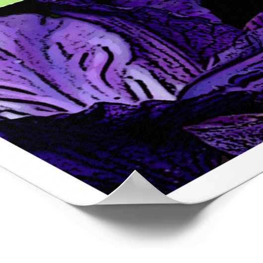 Koi Fish Poster (Hoek)