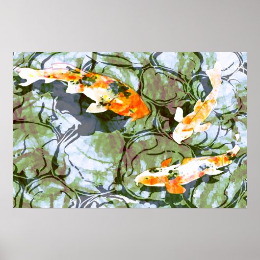 Koi Fish Poster Print (Voorkant)