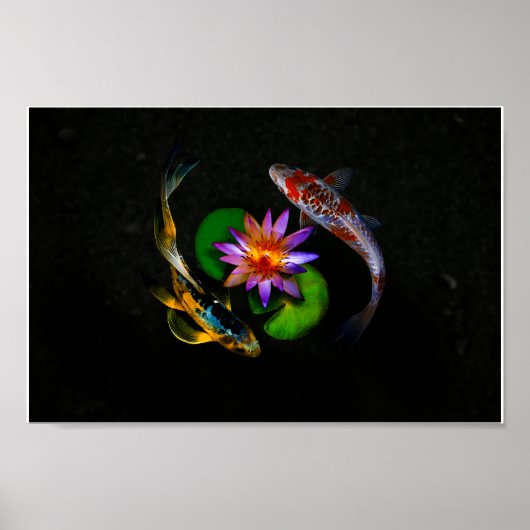 Koi Fish zwemt rond Lotus Flower in Zen Pond Poster (Voorkant)