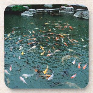 Koi in een Pond Onderzetter