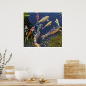 Koi in Shadow Poster (Keuken)