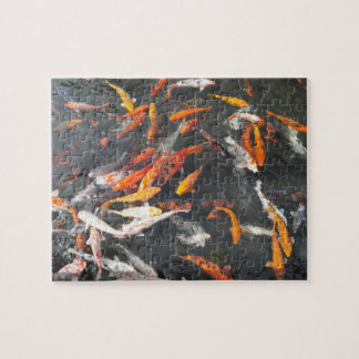 Koi Legpuzzel