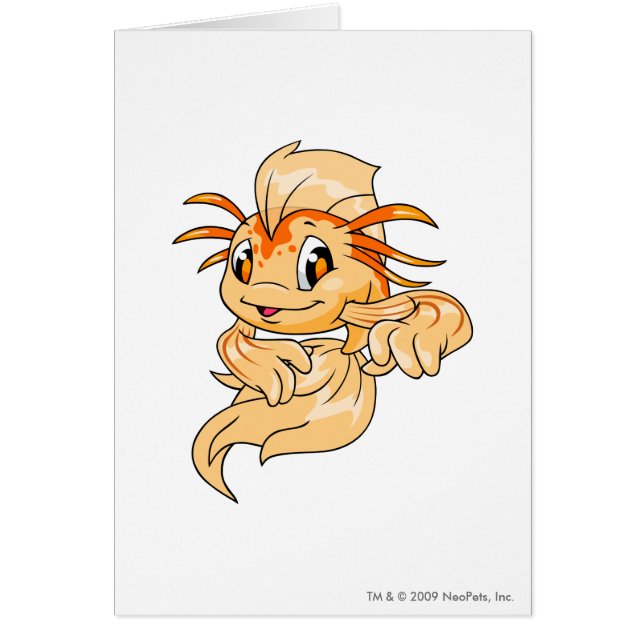 Koi Oranje (Voorkant)