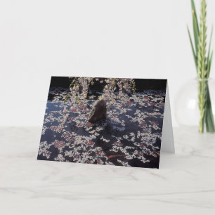 Koi Pond Condolence Card Kaart