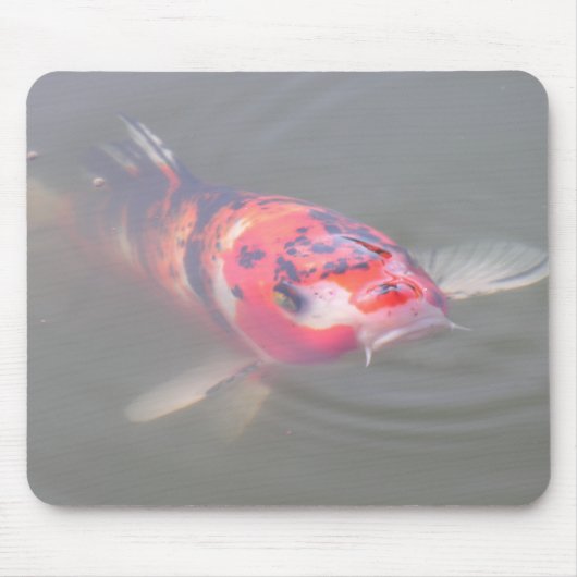 Koi Pond Muismat (Voorkant)