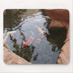 Koi Pond Muismat