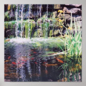 Koi Pond Poster (Voorkant)