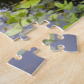 Koi Pond Puzzle (Côté)