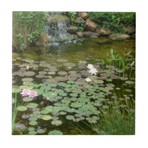 Koi Pond-tegel Tegeltje