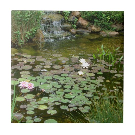 Koi Pond-tegel Tegeltje (Voorkant)