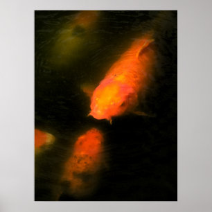 Koi Poster