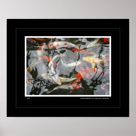 Koi Poster (Voorkant)