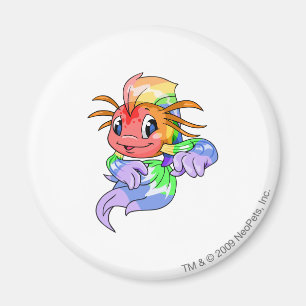 Koi Rainbow Magneet