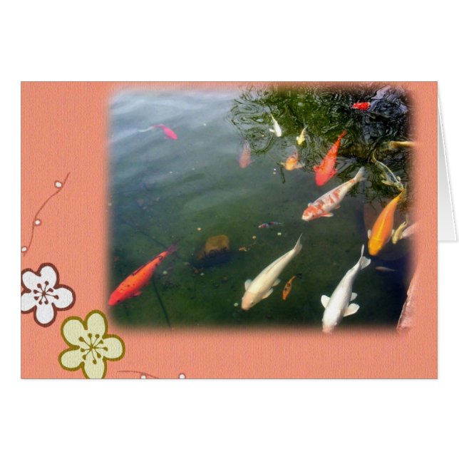 Koi Surprise (Voorkant Horizontaal)