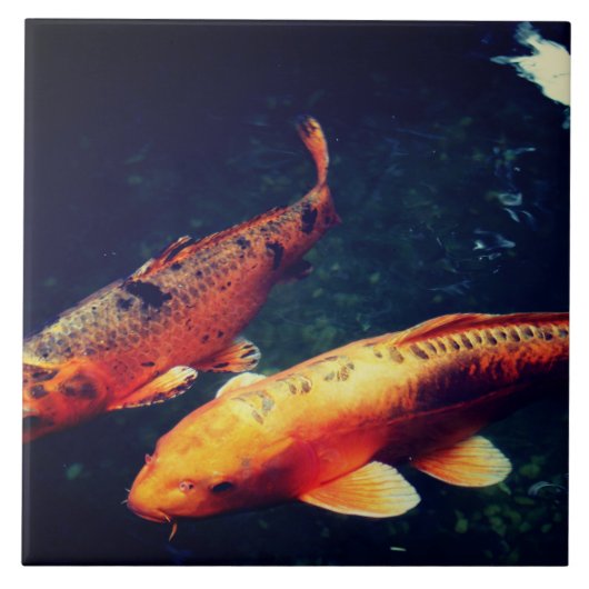 Koi Tegeltje (Voorkant)