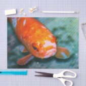 Koi Tissuepapier (Craft)