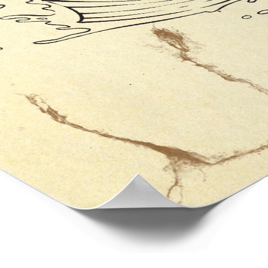 Koi Tranquility Poster (Hoek)