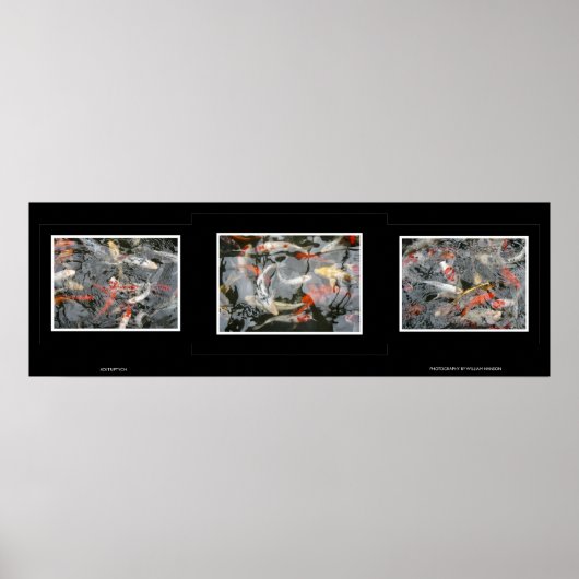 Koi Triptych Poster (Voorkant)