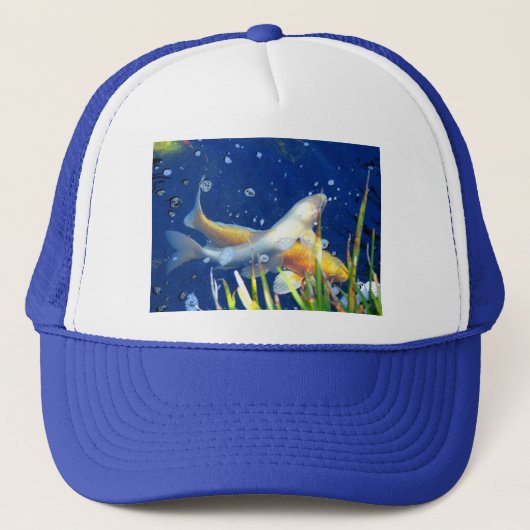koi vijver blauw pet (Voorkant)