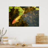 Koi Vis Poster (Keuken)