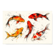 Koi vissen 