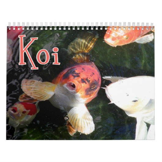 Koi Wall Calendar Kalender (Hoes)