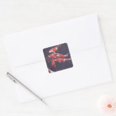 Koi zwemt in zwembad vierkante sticker (Envelop)