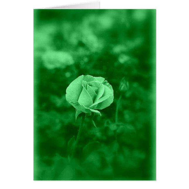 Koinonia "Bourse Sur Le Chemin" (Devant)