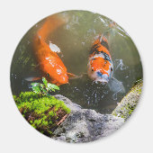 Koivis in een vijver magneet (Voorkant)