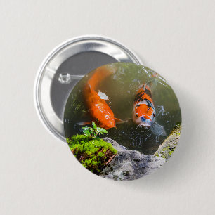 Koivis in een vijver ronde button 5,7 cm