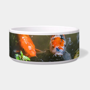 Koivis in een vijver voerbakje