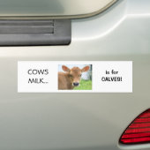 Kokoemelk is bedoeld voor kalveren ontwerp 2 bumpersticker (Op auto)