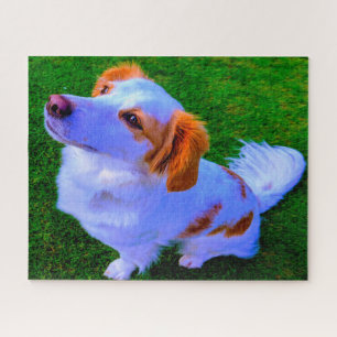 Kokoni hond. legpuzzel