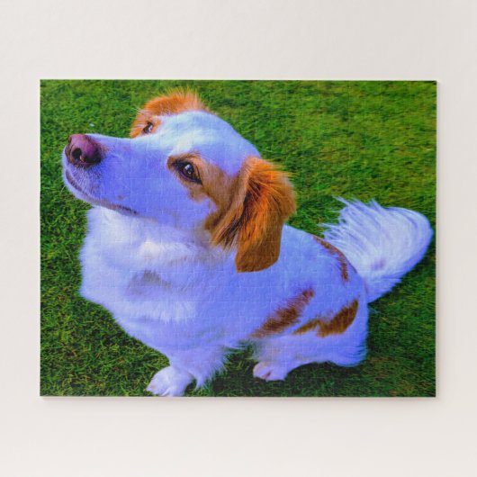 Kokoni hond. legpuzzel (Horizontaal)