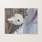 Kokosnoot - Golden Gate Bridge Legpuzzel (Horizontaal)