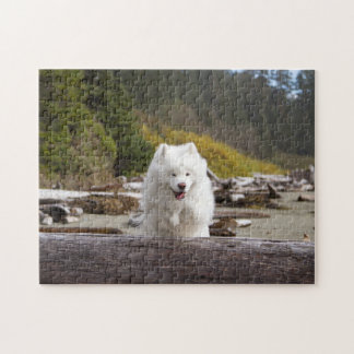 Kokosnoot Log Puzzel