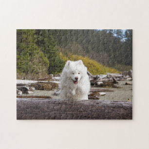 Kokosnoot Log Puzzel Legpuzzel