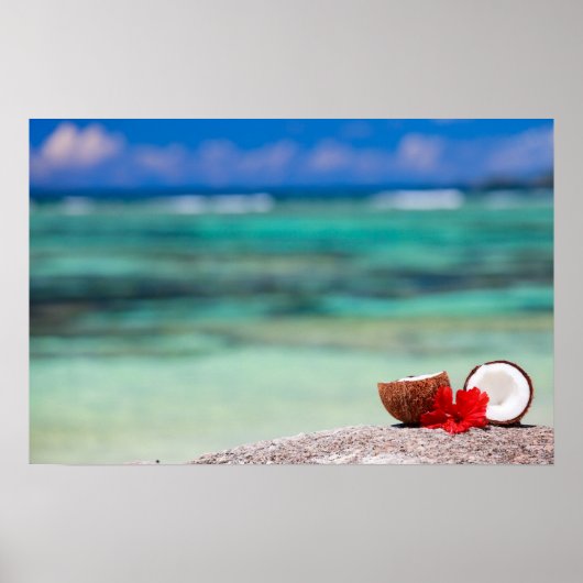 Kokosnoot met tropische bloem aan de exotische kus poster (Voorkant)