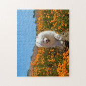 Kokosnoot papavers puzzel (Verticaal)