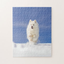Kokosnoot - Sneeuwbeer Legpuzzel