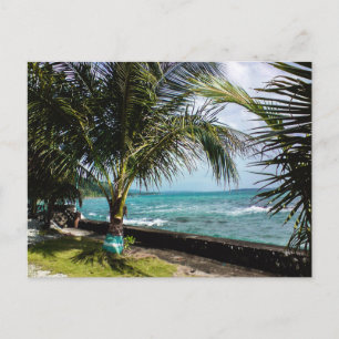 Kokosnootbomen, Rocky Coast Pacific Beach Waves Briefkaart