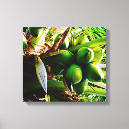 Kokosnoten ~ Canvas Kunst ~ Trinidad