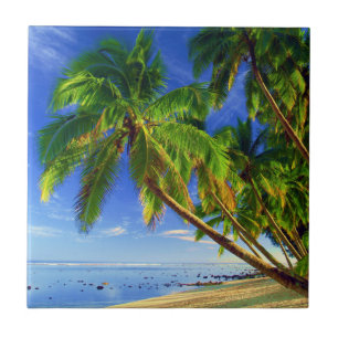 Kokospalm Tree Sandy Tropical Island Beach Tegeltje