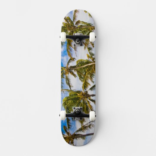 Kokospalmbomen (Cocos nucifera) die in Skateboard (Voorkant)