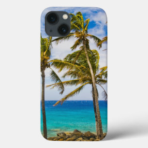 Kokospalmbomen (Cocos nucifera) wiegen in iPhone 13 Hoesje